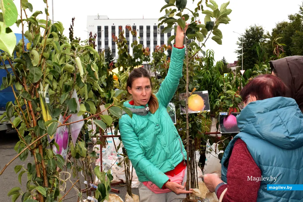 27.09.25, Бобруйск. Кирмаш «Золотая осень»