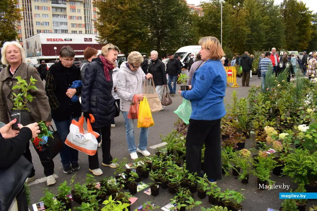 27.09.25, Бобруйск. Кирмаш «Золотая осень»