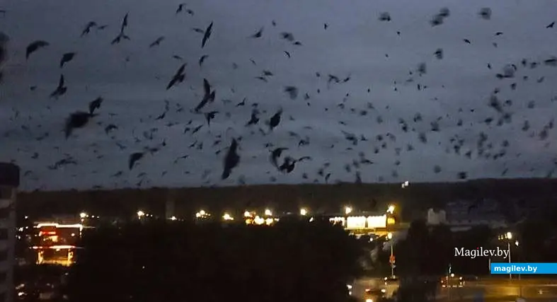 27.09.2025, Могилев. В небе над Казимировкой.