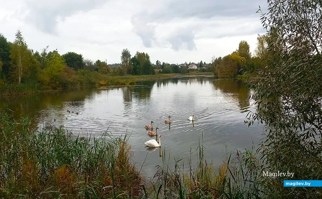 27.09.2025, Могилев. Печерское озеро.