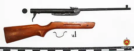 Пневматическая винтовка Model B1. Фото: ГКСЭ.