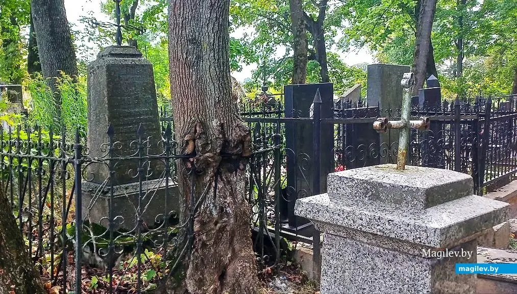 Сентябрь 2025, Могилев, Польское кладбище.