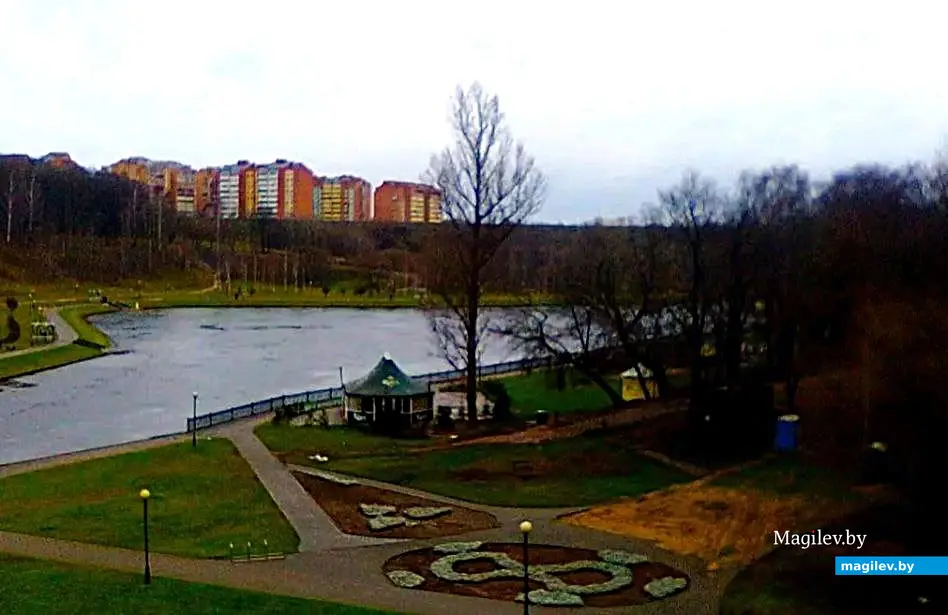 2012 год, Могилев, Дубровенка. Дерево Джона Леннона.