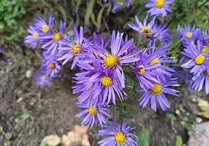 Временами дождь: какой будет погода в Могилеве 9 октября