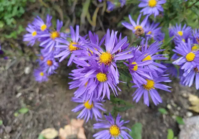 Временами дождь: какой будет погода в Могилеве 9 октября