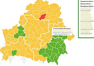 Можно и по грибы, но пешком: в Могилевской области нет запрета на посещение лесов