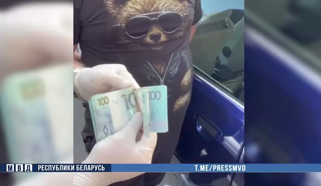 Скриншот видео МВД.