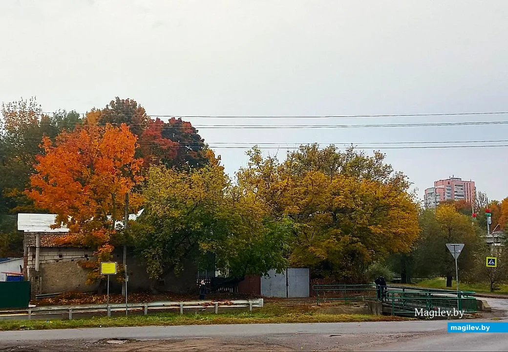  09.10.2025, Могилев. Красота не может быть вечной?