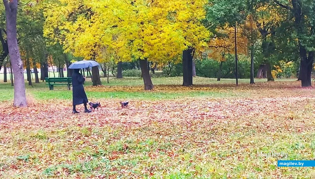   09.10.2025, Могилев. Красота не может быть вечной?
