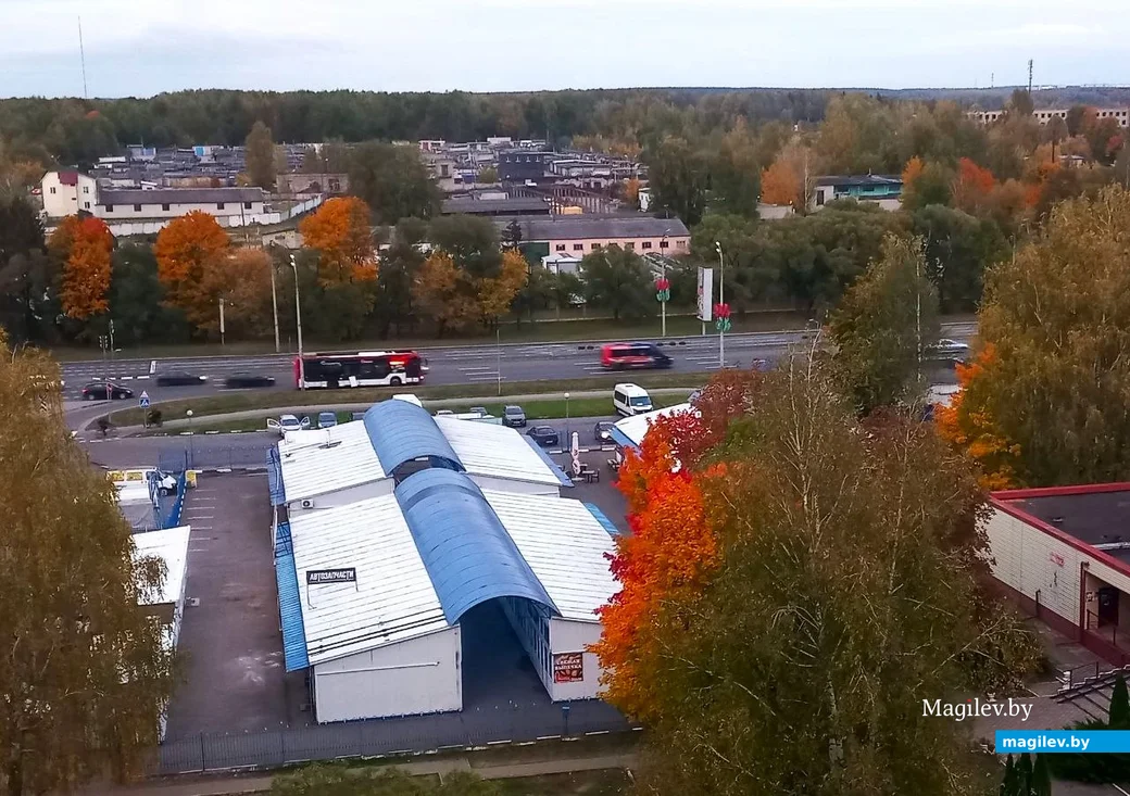  09.10.2025, Могилев. Красота не может быть вечной? 