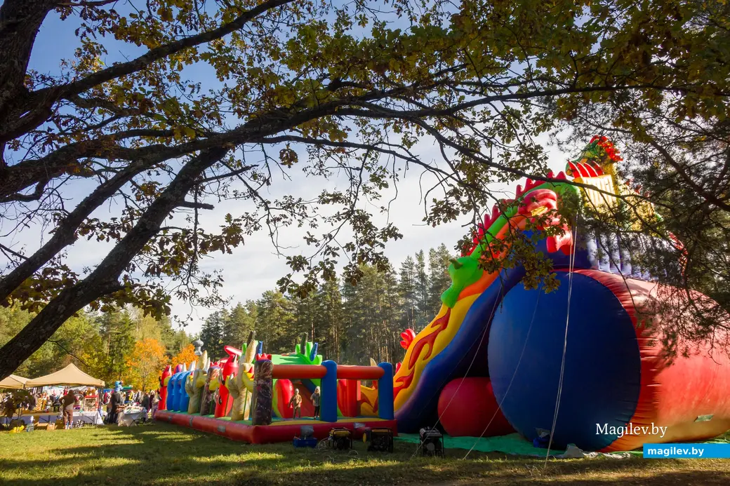 11.10.2025. Поселок Глуша. Региональный фестиваль народного творчества и ремесел «Глушанскi хутарок»
