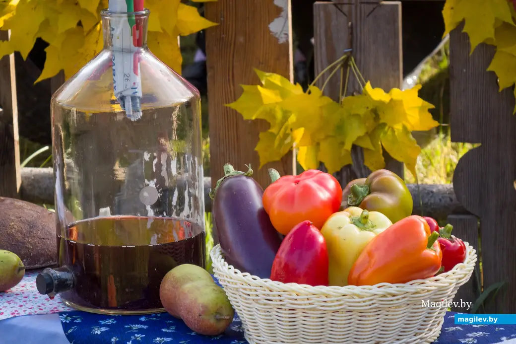 11.10.2025. Поселок Глуша. Региональный фестиваль народного творчества и ремесел «Глушанскi хутарок»