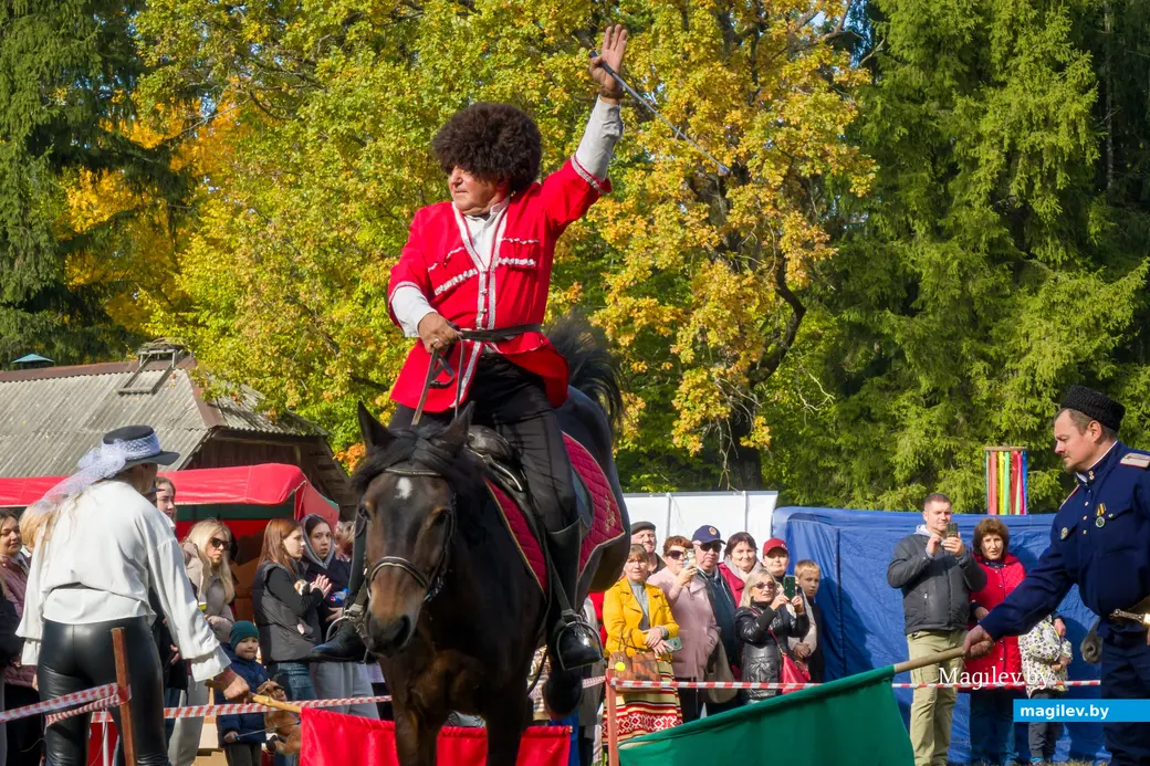 11.10.2025. Поселок Глуша. Региональный фестиваль народного творчества и ремесел «Глушанскi хутарок». Выступает конно-трюковой театр «Есаул» (Рук. Руслан Алиев).