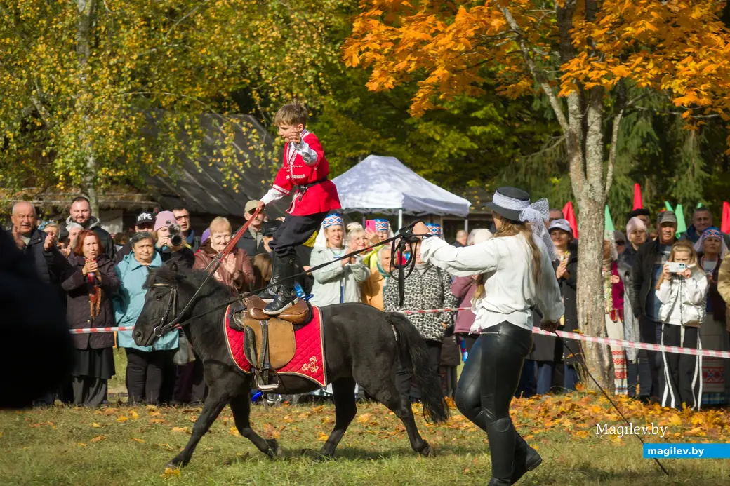 11.10.2025. Поселок Глуша. Региональный фестиваль народного творчества и ремесел «Глушанскi хутарок». Выступает конно-трюковой театр «Есаул» (Рук. Руслан Алиев).