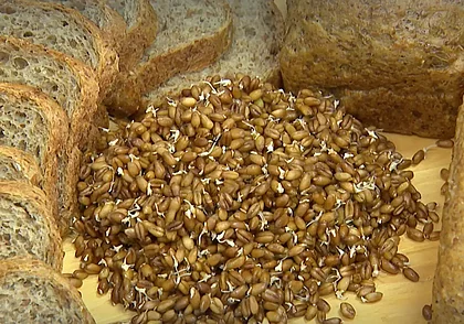 Хлеб из фиолетовой пшеницы начали производить в Беларуси