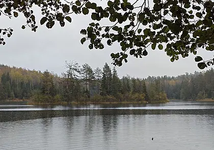 Кратковременные дожди: какой будет погода в Могилеве 13 октября