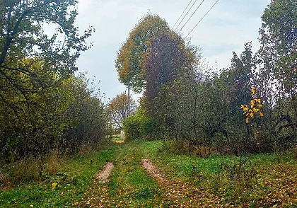 Как-то под Могилевом: стрелки часов остановились, чтобы закрутиться вновь