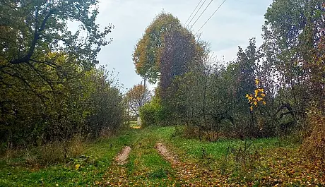 10.10.2025, где-то под Могилевом.
