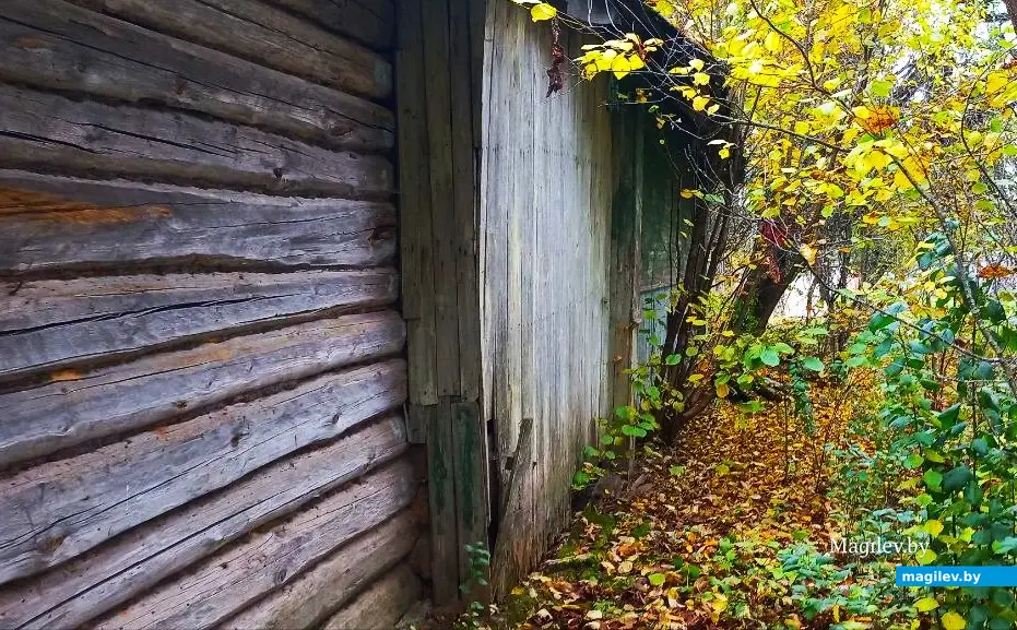 10.10.2025, где-то под Могилевом.