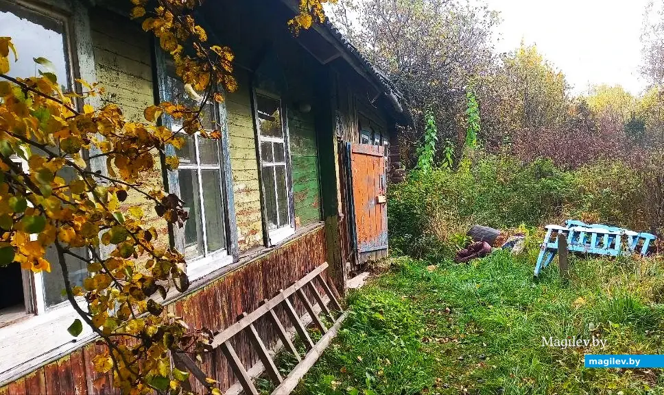 10.10.2025, где-то под Могилевом.