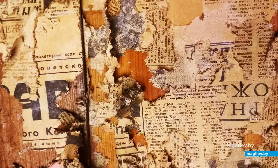 10.10.2025, где-то под Могилевом.