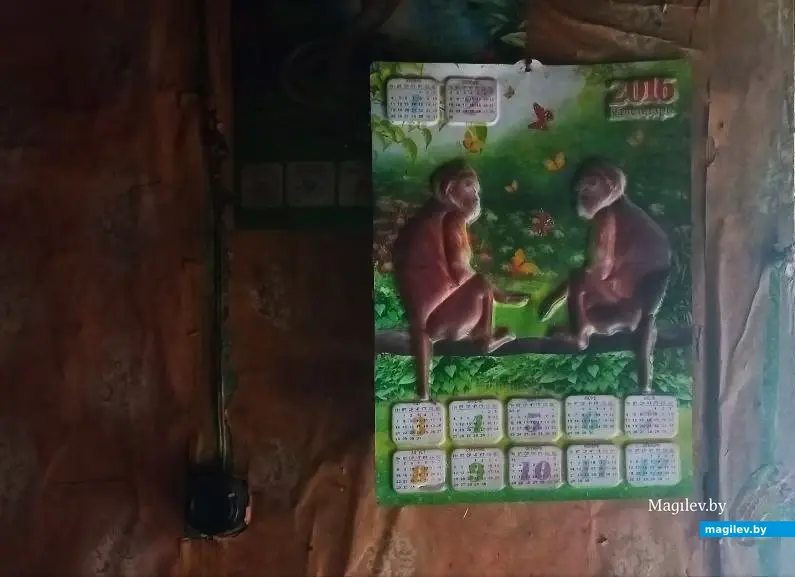 10.10.2025, где-то под Могилевом.