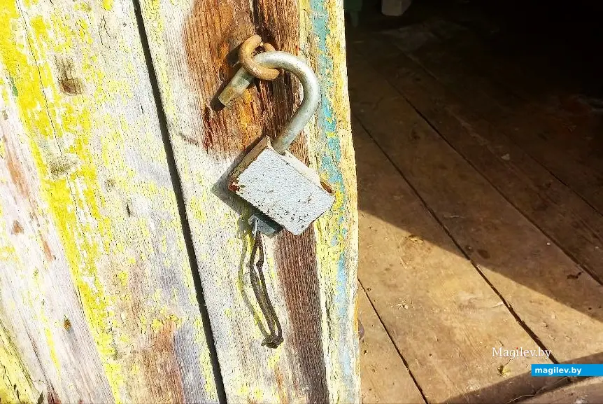 10.10.2025, где-то под Могилевом.