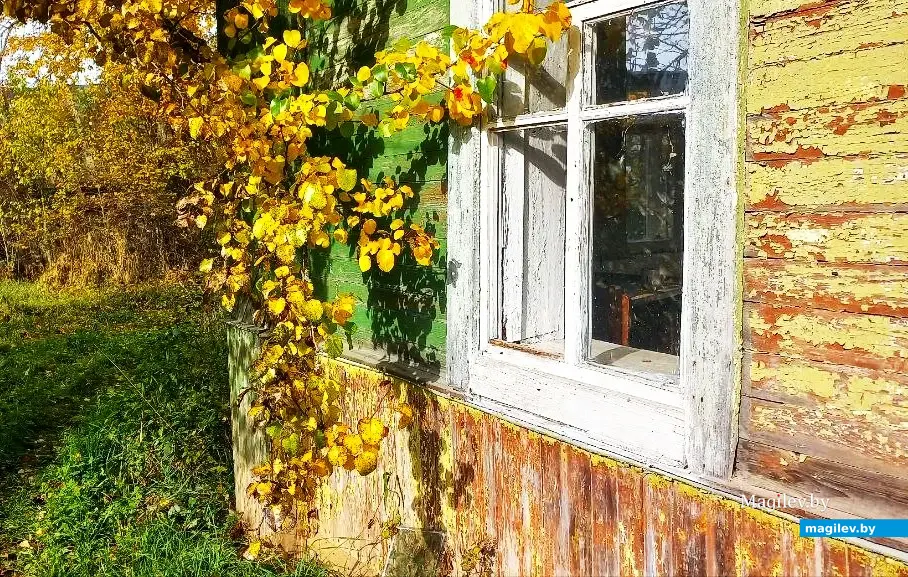 10.10.2025, где-то под Могилевом.