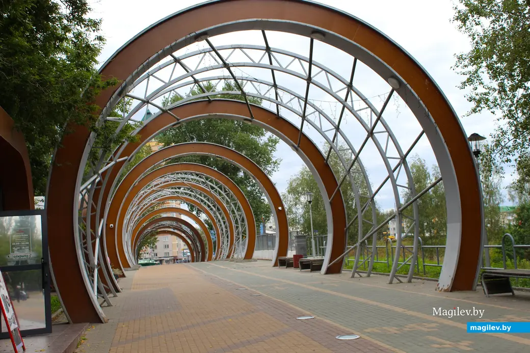 2025 год. Могилев. Фото Галины Покровской.