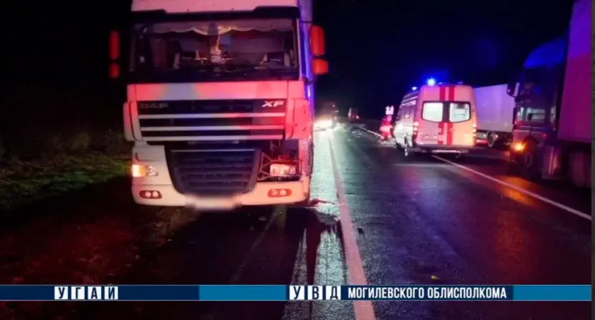 В Шкловском районе 14 октября автомобиль DAF совершил наезд на пешехода. Фото УВД Могилевского облисполкома.