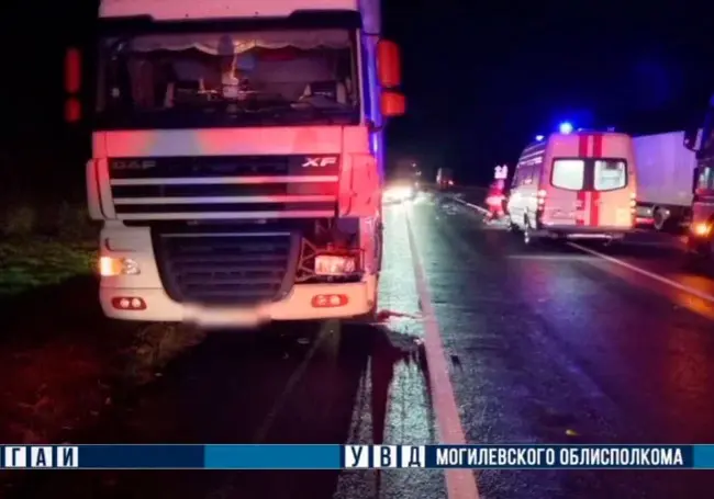Совершен наезд на пешехода в Шкловском районе – мужчина погиб