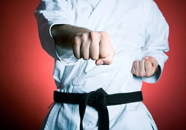 Белорусский каратист Дэвид Нгуен завоевал в Париже путевку на чемпионат мира