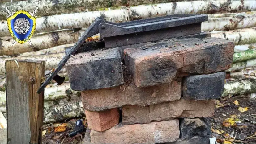 19.10.2025 г. Шкловский район. Фото: СК РБ