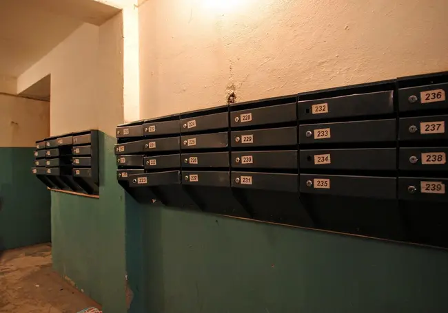 Что делать, если не пришло извещение на уплату имущественных налогов? Разъяснили в МНС