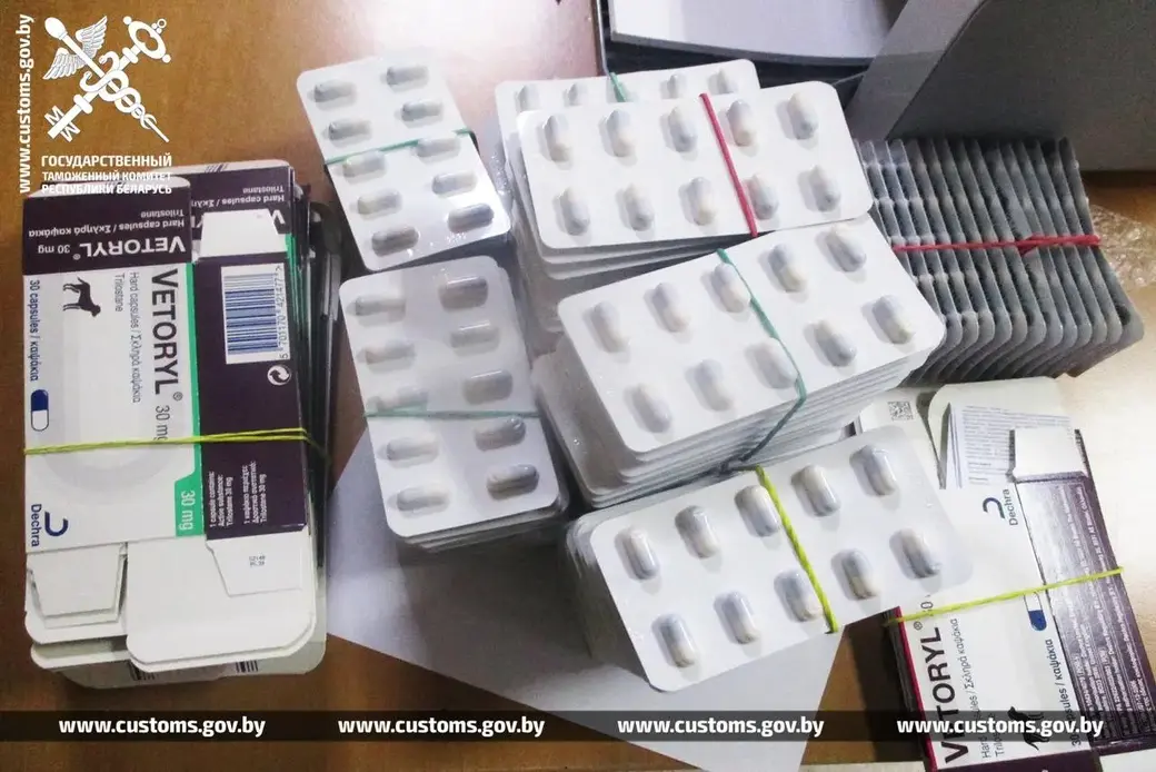 Фото: ГТК Беларуси