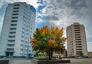 «Трава и деревья для меня коричневые»