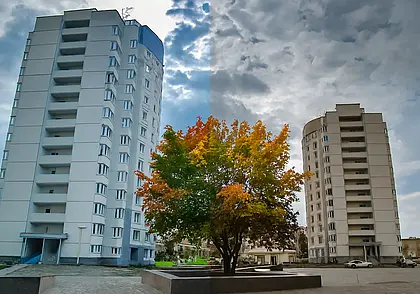 «Трава и деревья для меня коричневые»