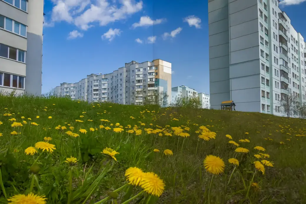 Обычное фото глазами большинства людей (слева) и глазами человека с дальтонизмом (справа).