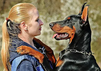 Налог на собаку: как изменится и какая льгота будет действовать в 2026 году