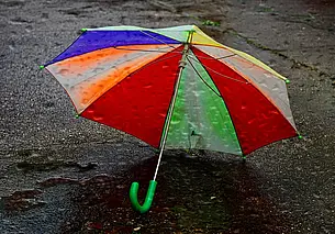 Дождливо и до 10 градусов тепла: какой будет погода в Могилеве в последний день октября