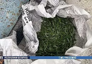 В Осиповичах мужчина организовал «бизнес» на марихуане