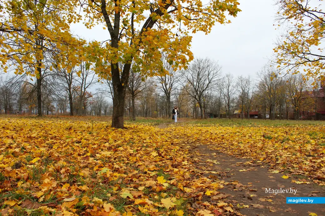 Октябрь 2025 года. Могилев.