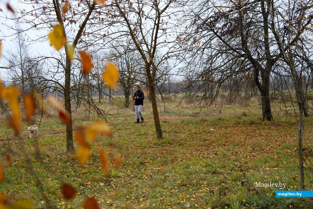 Октябрь 2025 года. Могилев.