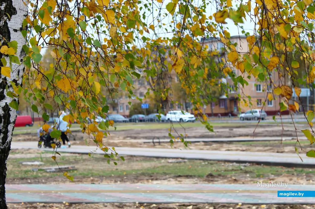 Октябрь 2025 года. Могилев.