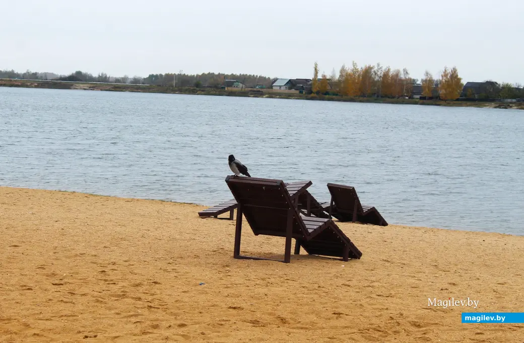 Октябрь 2025 года. Могилев.