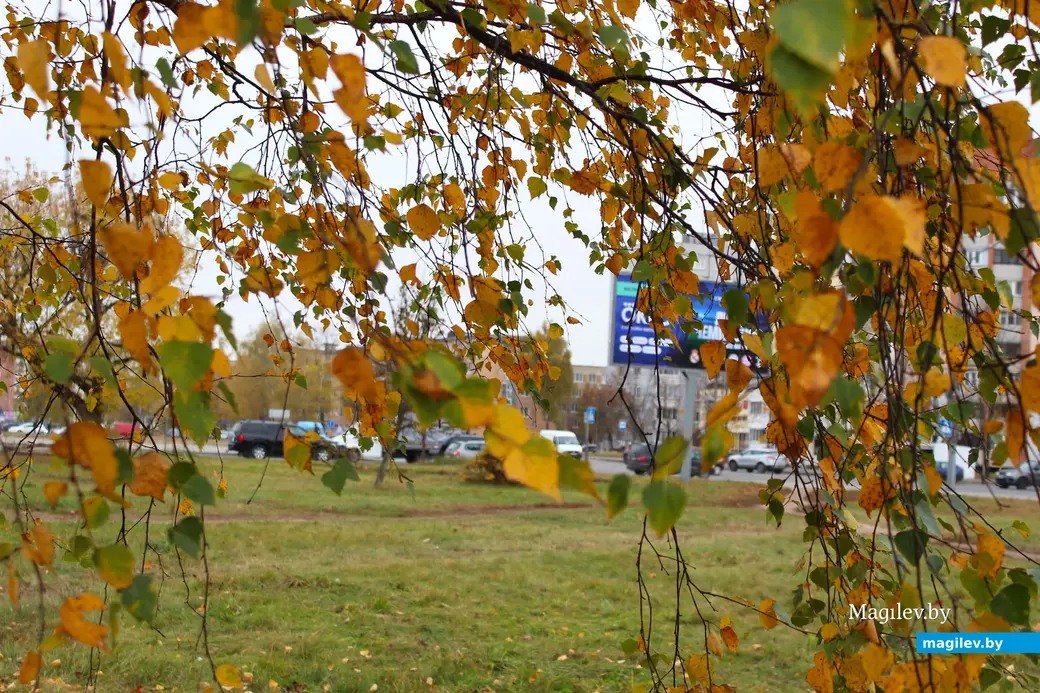 Октябрь 2025 года. Могилев.