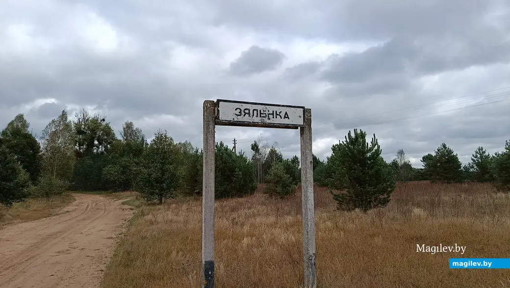 Сентябрь 2025 г. Дорожный знак при въезде в поселок Зеленка.