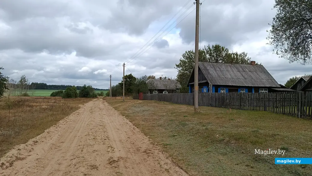 Сентябрь 2025 г. Вид с поселковой улицы на поле и лес.