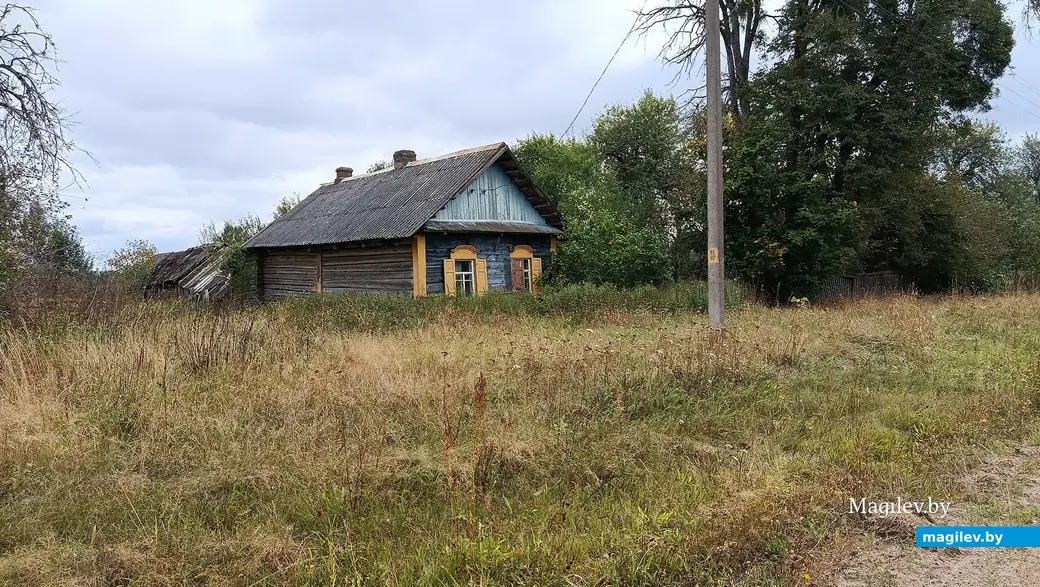 Сентябрь 2025 г. На улице в поселке Зеленка.