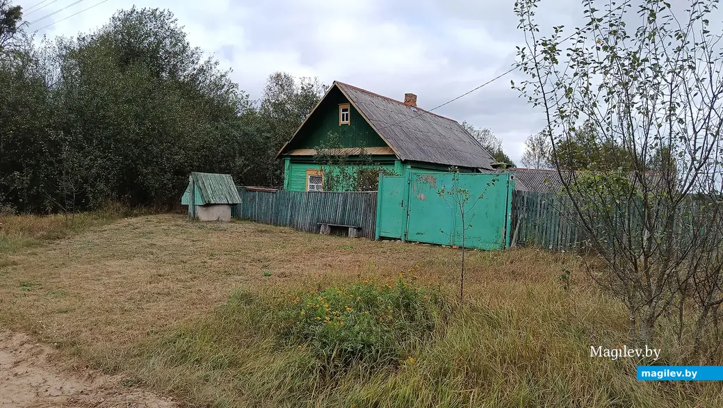 Сентябрь 2025 г. В поселке Зеленка почти у каждого дома есть колодец.